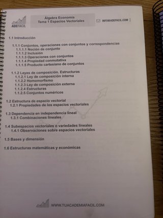 Algebra Economía. Apuntes y exámenes corregidos