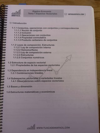 Algebra Economía. Apuntes y exámenes corregidos