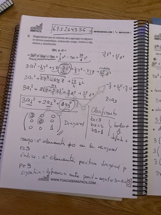 Algebra Economía. Apuntes y exámenes corregidos