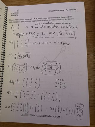 Algebra Economía. Apuntes y exámenes corregidos