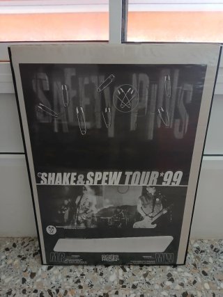 Safety Pins (póster+regalo)
