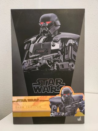 Hot Toys TMS032 Dark Trooper Star Wars 1/6 Figure