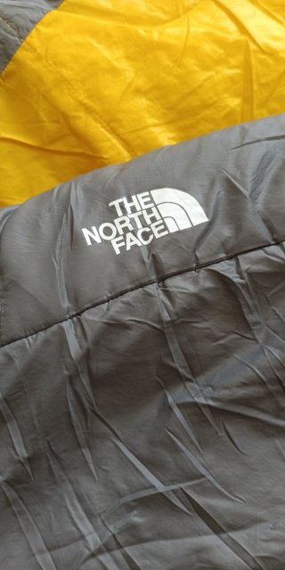 Saco de Dormir The North Face Lynk