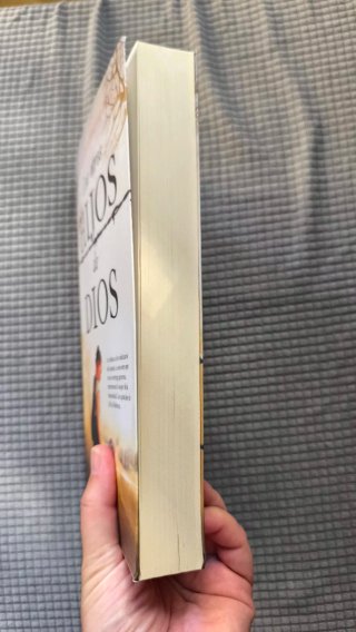 Los otros hijos de Dios novela