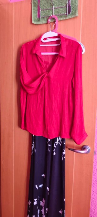 Blusa Roja Zara