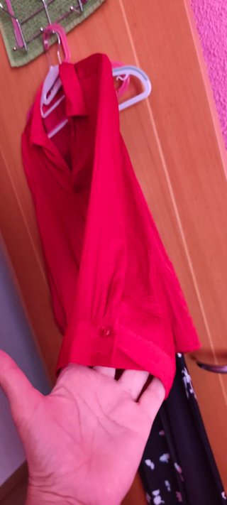 Blusa Roja Zara