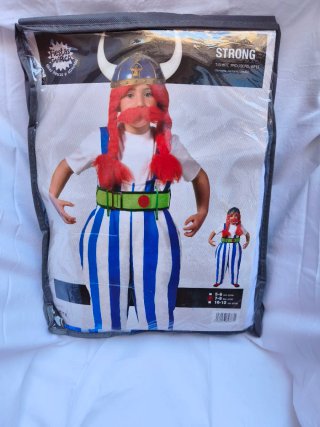 Disfraz niño Obélix Talla 5-12