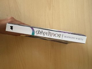 Boulevard (Libro 1)