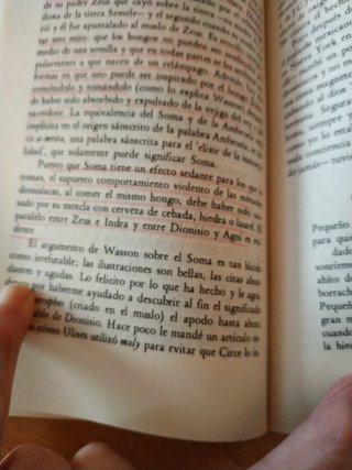 los dos nacimientos de Dionisio
