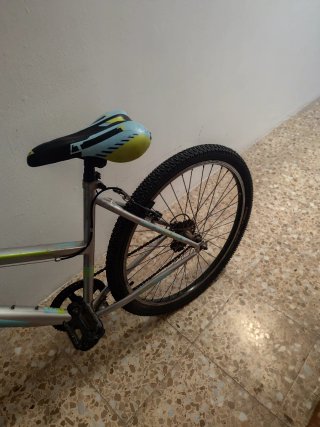 Bicicleta de Montaña Plateada