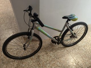 Bicicleta de Montaña Plateada