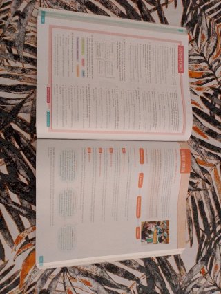 Lengua castellana y literatura 1 Bachillerato