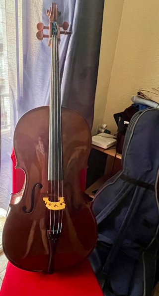 Violonchelo 4/4