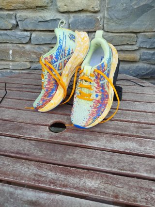 Zapatillas Running Asics Noosa Tri 16