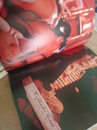 Libro Pedro Almodóvar maestros del cine