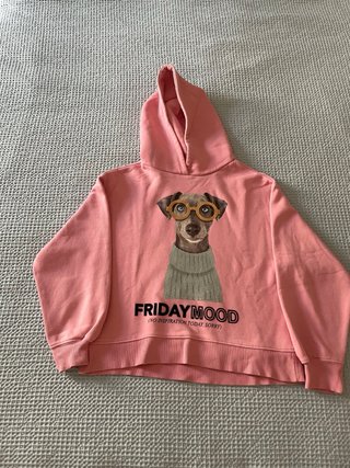 Sudadera Zara perro gafas talla 11/12