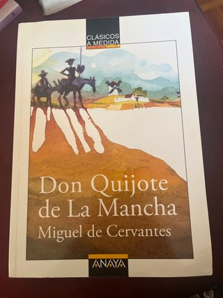 Don Quijote, Clasicos a medida