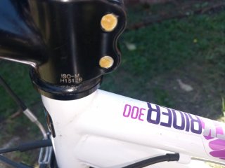 Bicicleta de Montaña Mujer Blanca