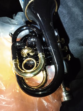 Trompeta Jupiter con boquilla de plata