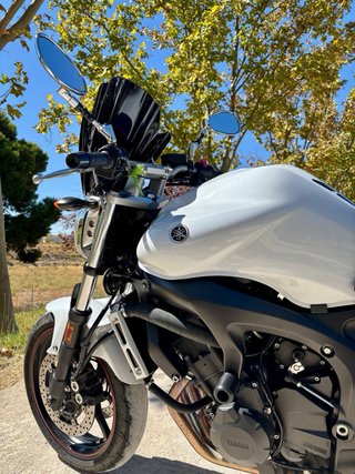 Yamaha FZ6 S2 Naked Blanca
