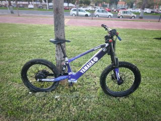 Bicicleta Eléctrica RXF