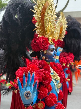Disfraz-Traje Carnaval Diosa Kali