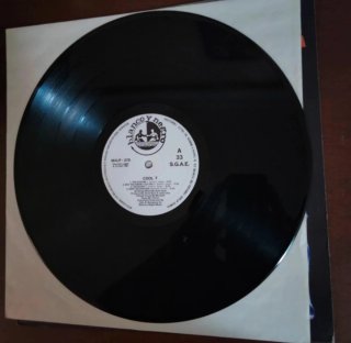 LP 1991 ELECTRO HIPHOP Cool T-The Beginning vinilo