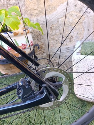 Trek Émonda SL 6 Disc Pro Carbono Talla 54