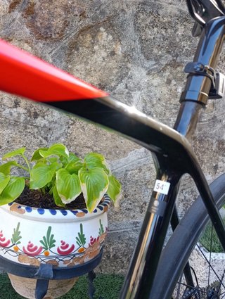 Trek Émonda SL 6 Disc Pro Carbono Talla 54