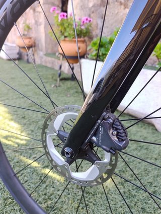 Trek Émonda SL 6 Disc Pro Carbono Talla 54