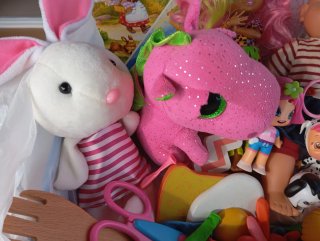 Lote Juguetes Niña: Muñecas, Peluches, Libros, pin