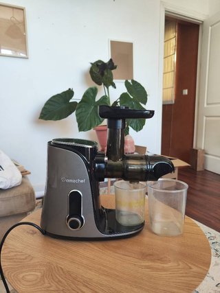 Extractor de zumos AMZCHEF lento