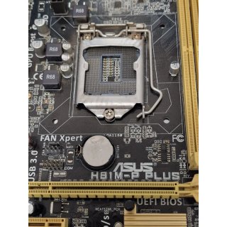Placa Base ASUS H81M-P PLUS LGA1150