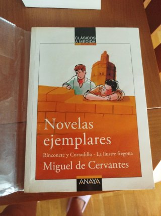 Novelas ejemplares