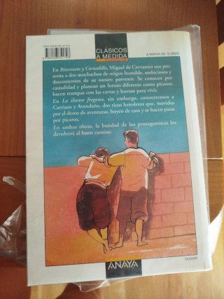 Novelas ejemplares