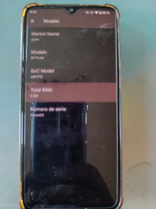 Xiaomi Mi 9 Lite (fallo ocasional)