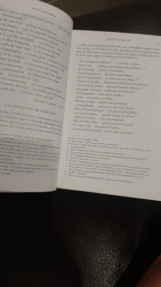 Poesía española