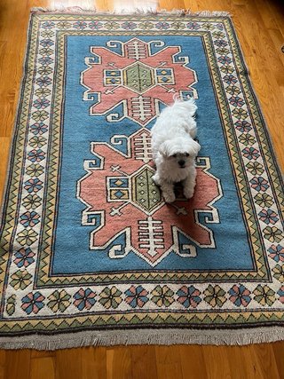 Alfombra Turca Lana Azul Rosa