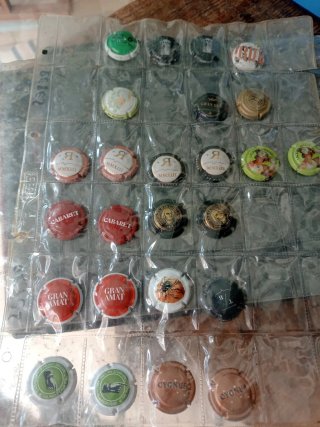 Colección de 271 Chapas de Cava