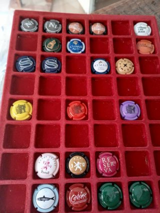 Colección de 271 Chapas de Cava