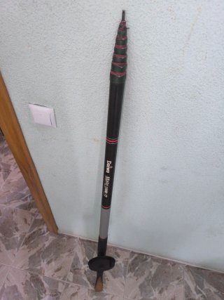 Caña Valenciana Daiwa 7M