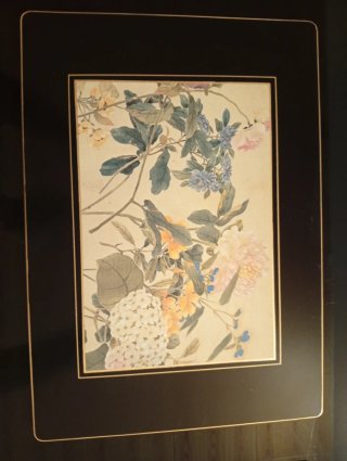 Set 4 Manteles  Vintage Lady Clare Harrods