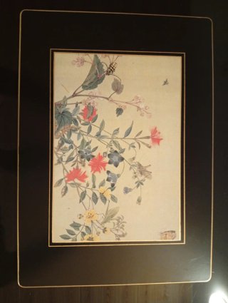 Set 4 Manteles  Vintage Lady Clare Harrods