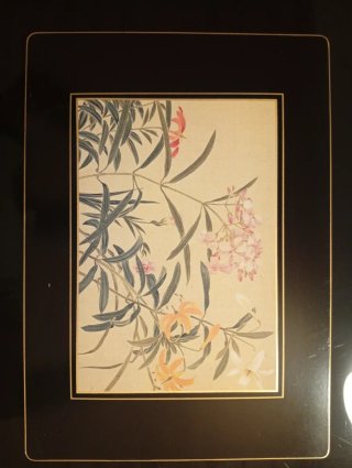 Set 4 Manteles  Vintage Lady Clare Harrods