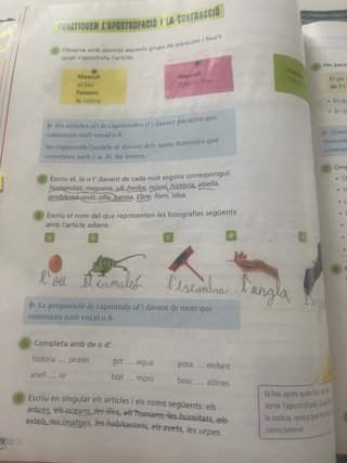 Llengua Catalana i Literatura 4, Segon Cicle Pr...