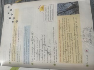 Llengua Catalana i Literatura 4, Segon Cicle Pr...