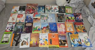 Lote de libros de lectura