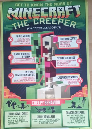 Poster de Minecraft - The Creeper