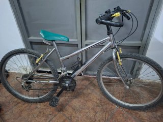 Bicicleta de Montaña con Cuadro Cromado