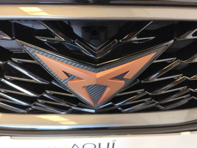 Cupra Formentor 2022, foto 14
